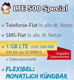 All Net Flat LTE Special
